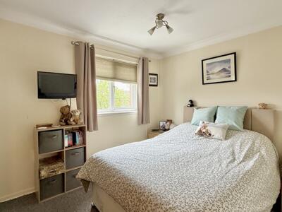 Picture 8